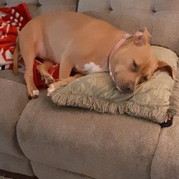 Meet your Posher, Tim - Picture 1 of 1